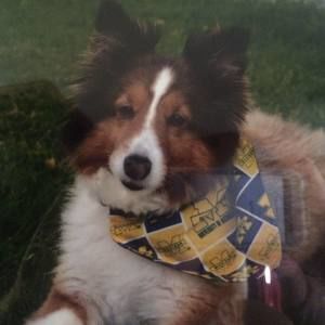 Meet your Posher, Angi